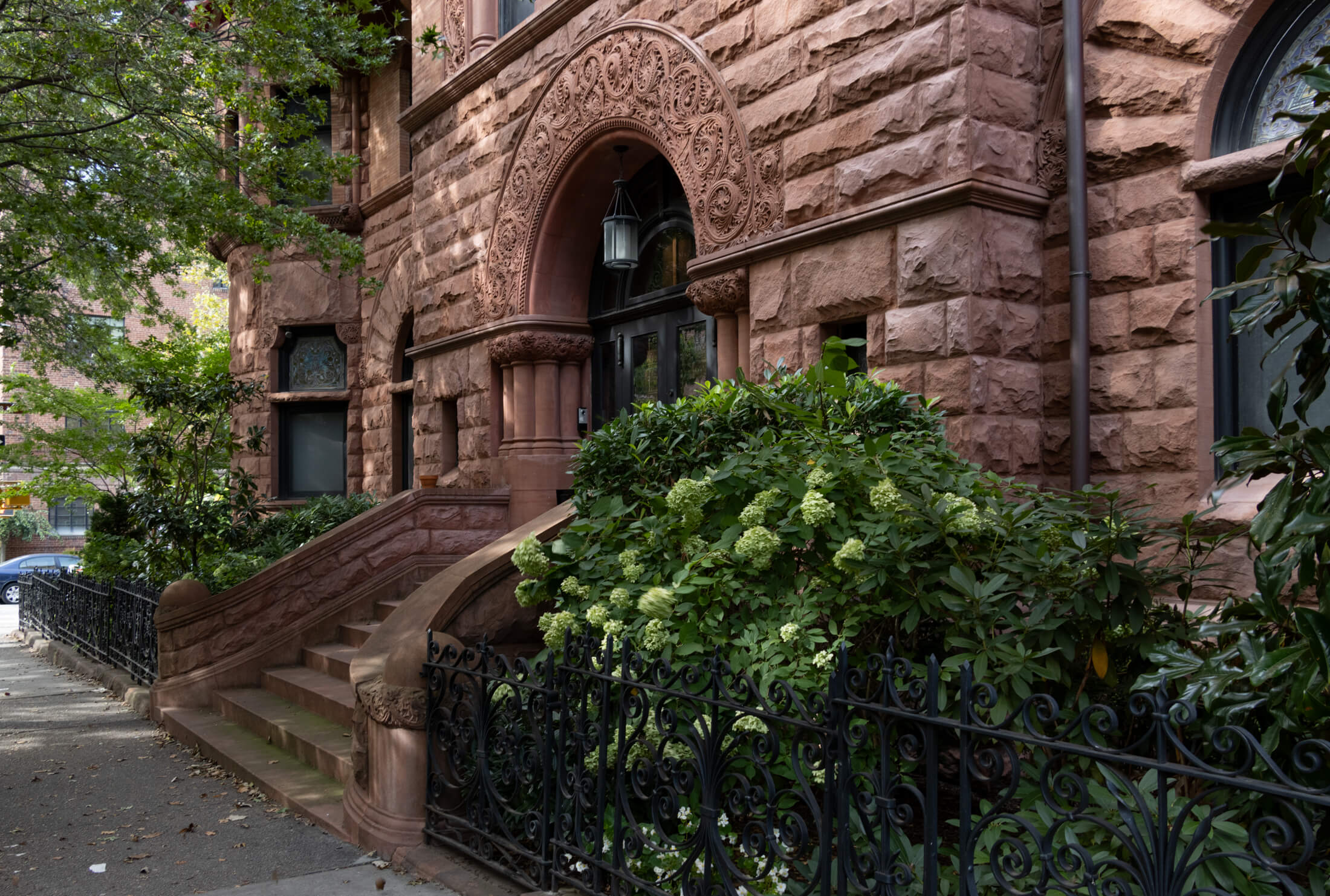 brooklyn - park slope brownstone stoop with hydrangeas in bloom