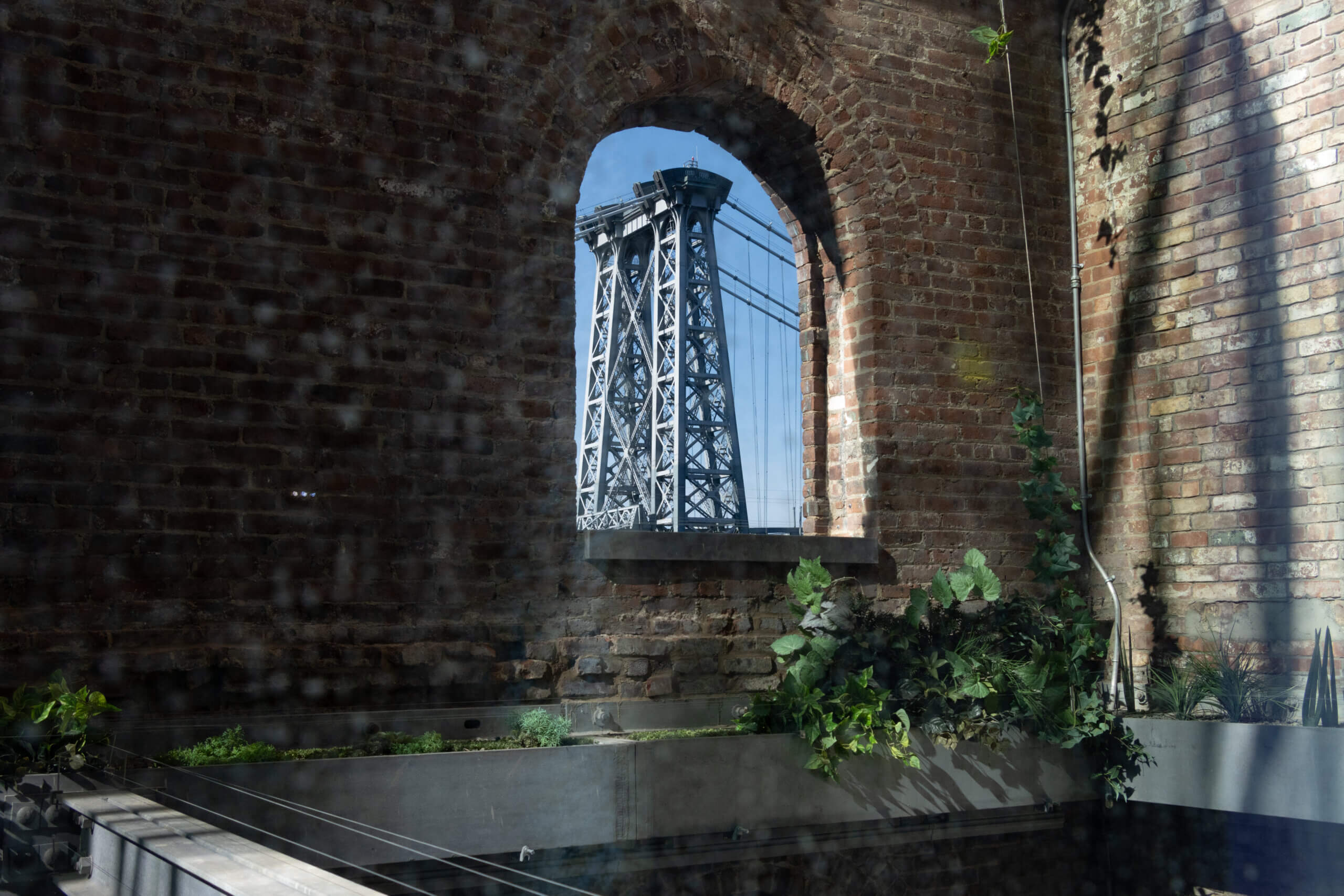 view of plants along the original wall and a view out a window