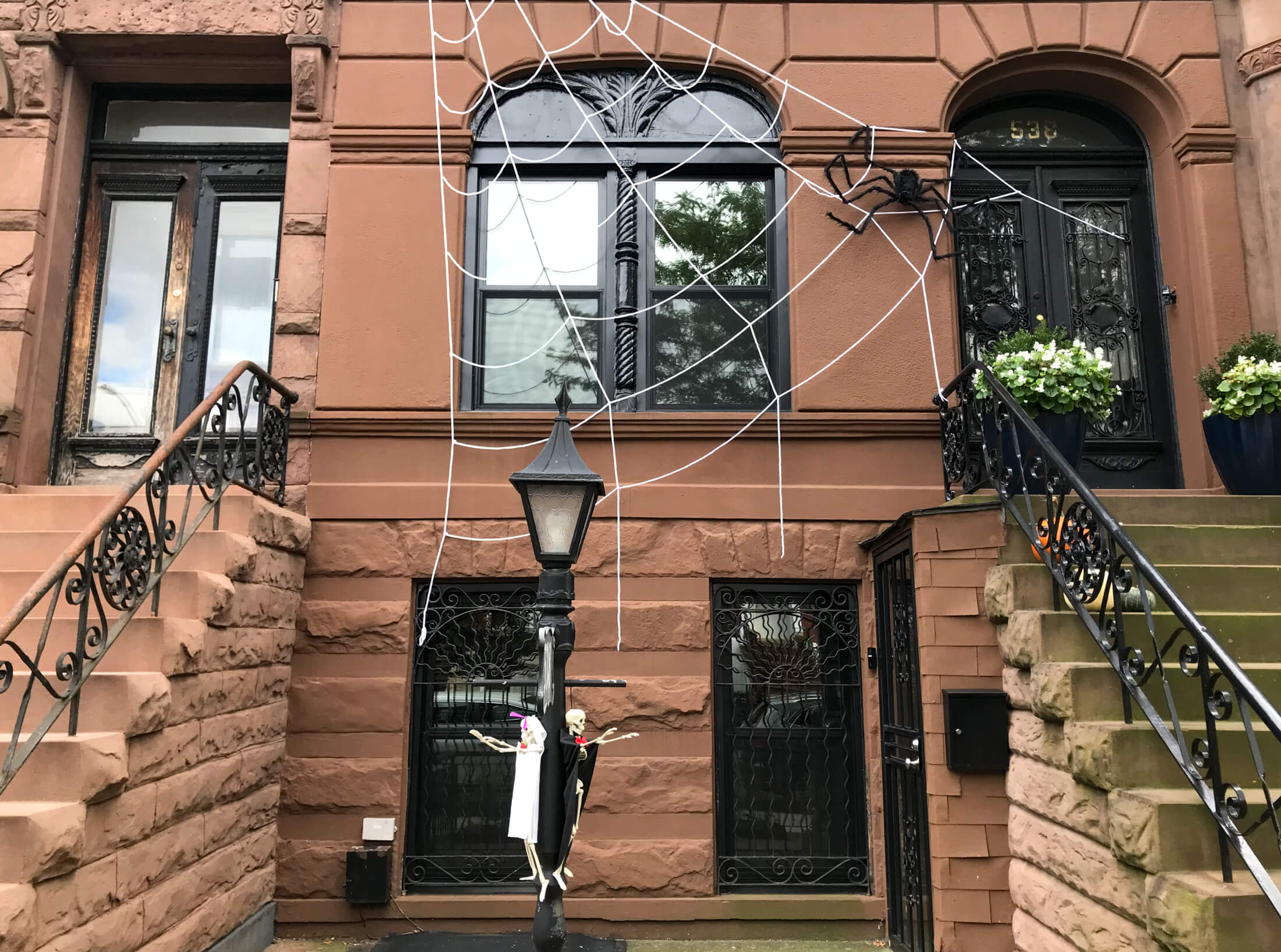 brooklyn - bed stuy house with halloween decorations including a giant spiderweb