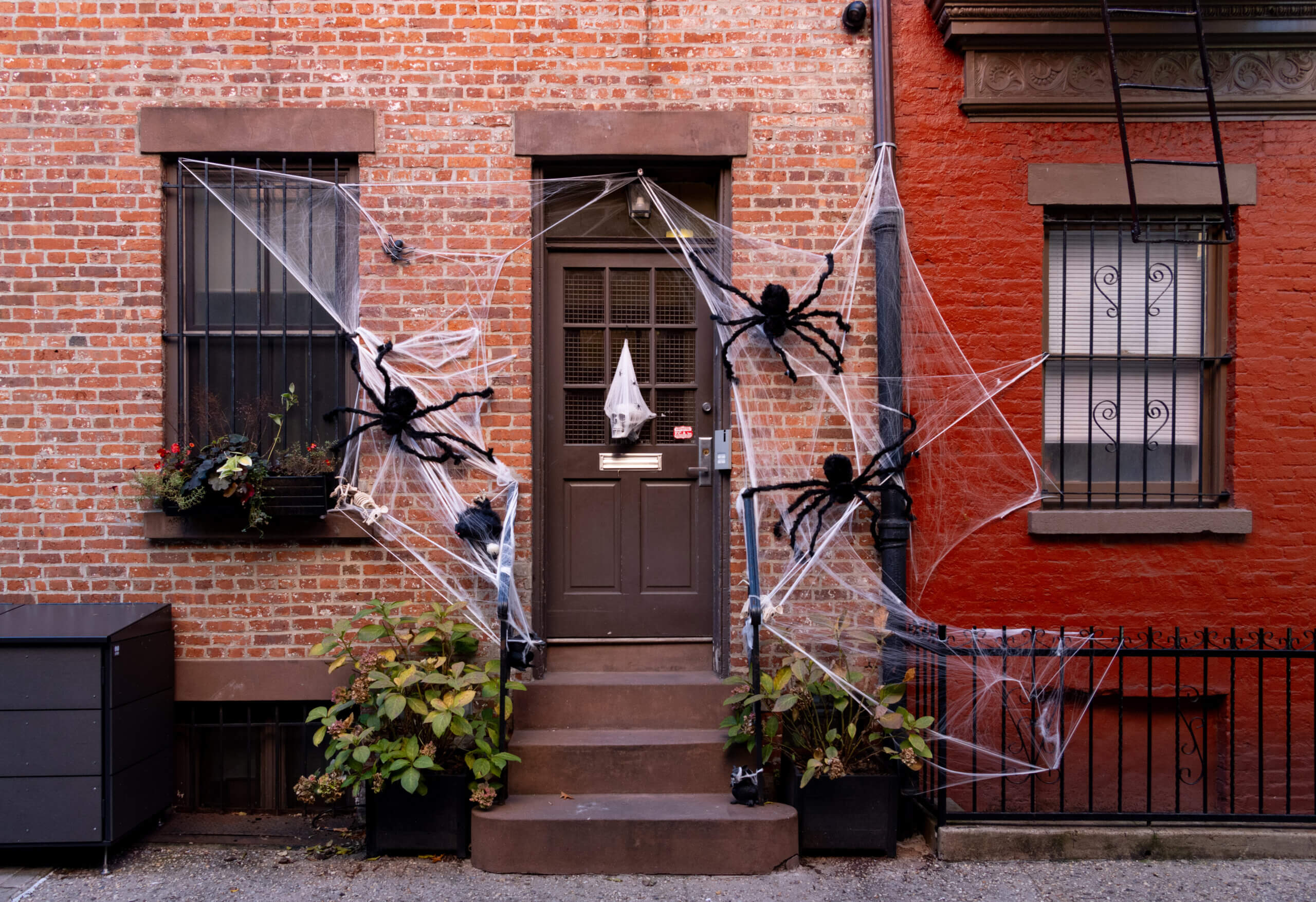 brooklyn - spiderwebs and spiders on a brooklyn carriage house on verandah place