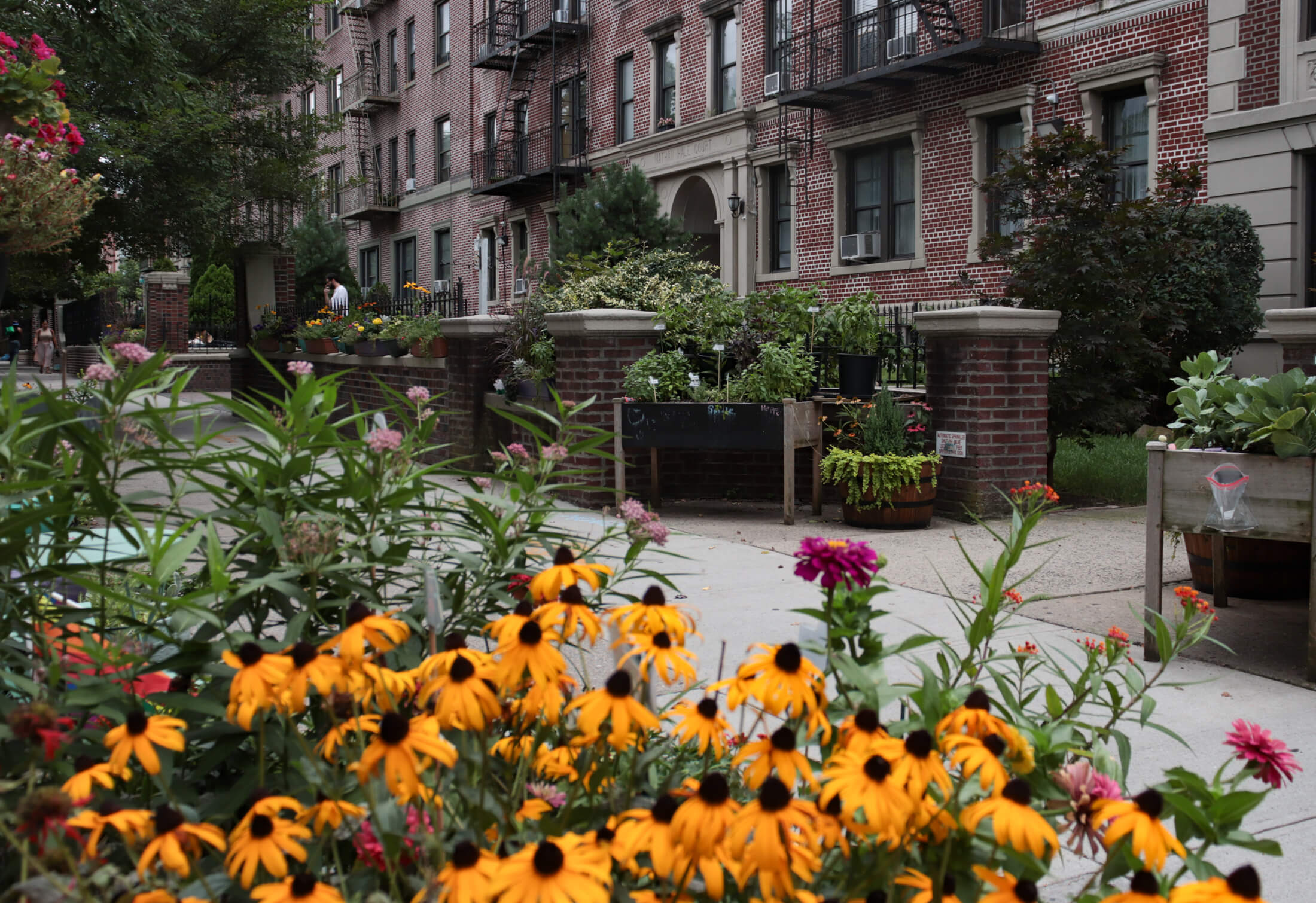 brooklyn -flower beds outside of an apartment building in crown heights