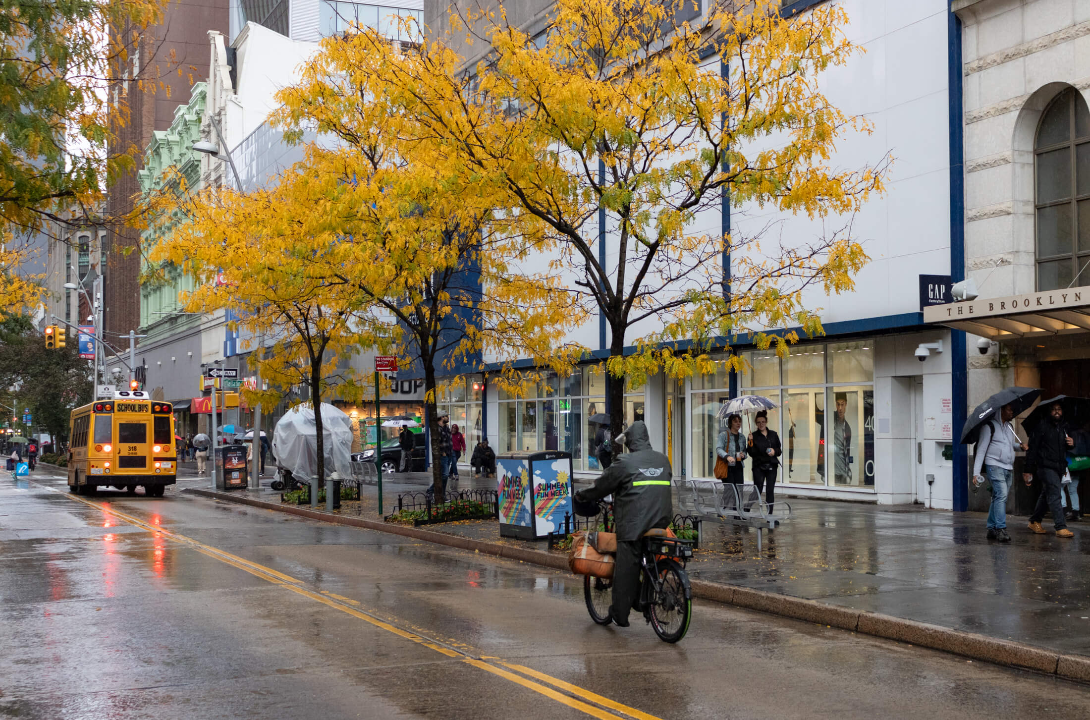 brooklyn - rainy fulton street with fall trees and a school bus stopped at a red light