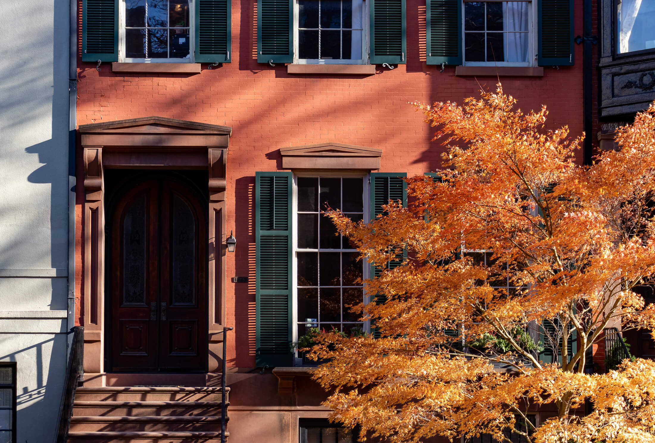 brooklyn - fall tree in front of an orange painted row house