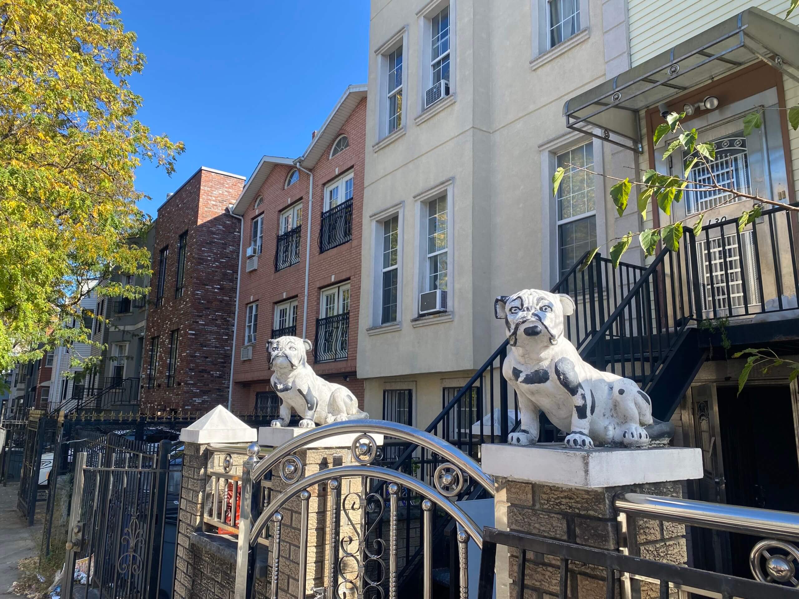 dogs on fence