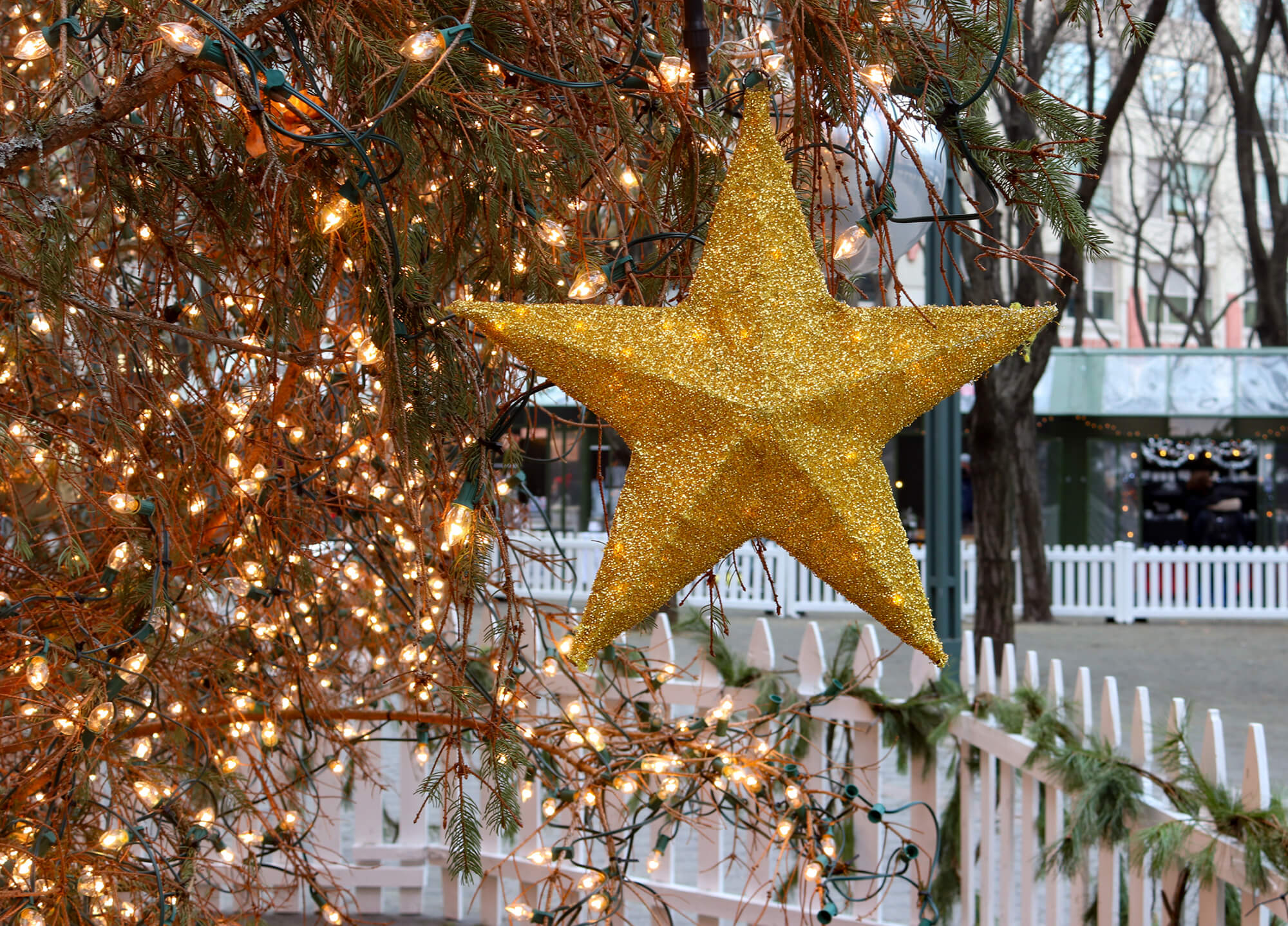 christmas tree - start ornament and lights