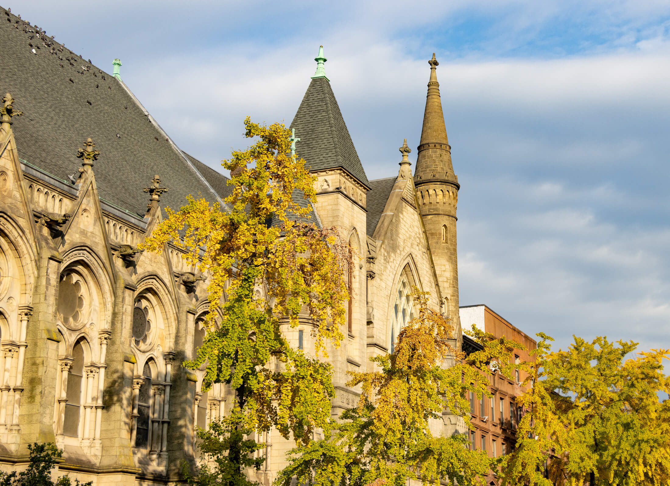 brooklyn - roofline of 279 lafayette avenue - emmanuel baptist church