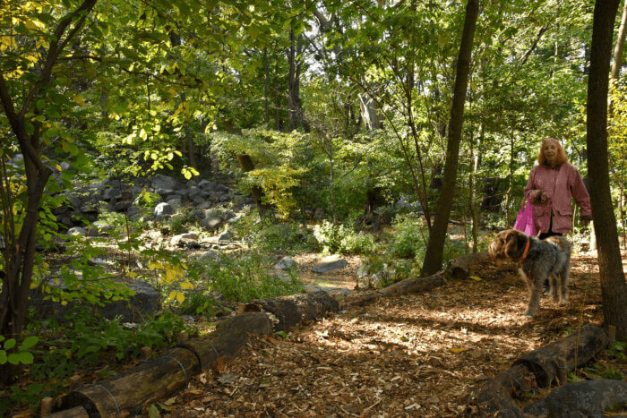 person walking a dog on the trail