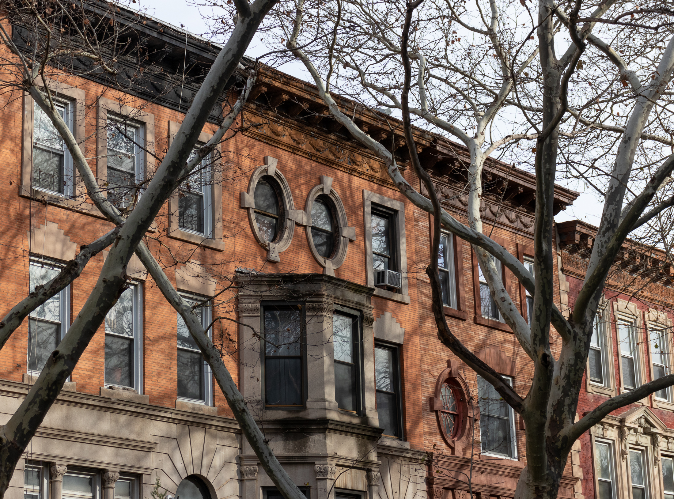 brooklyn - view of row houses through bare tree branches