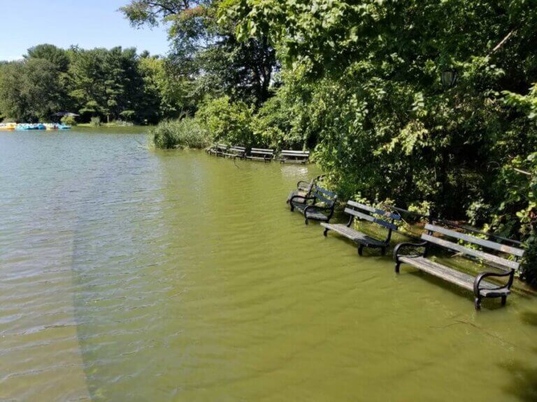 climate change - flooding in brooklyn