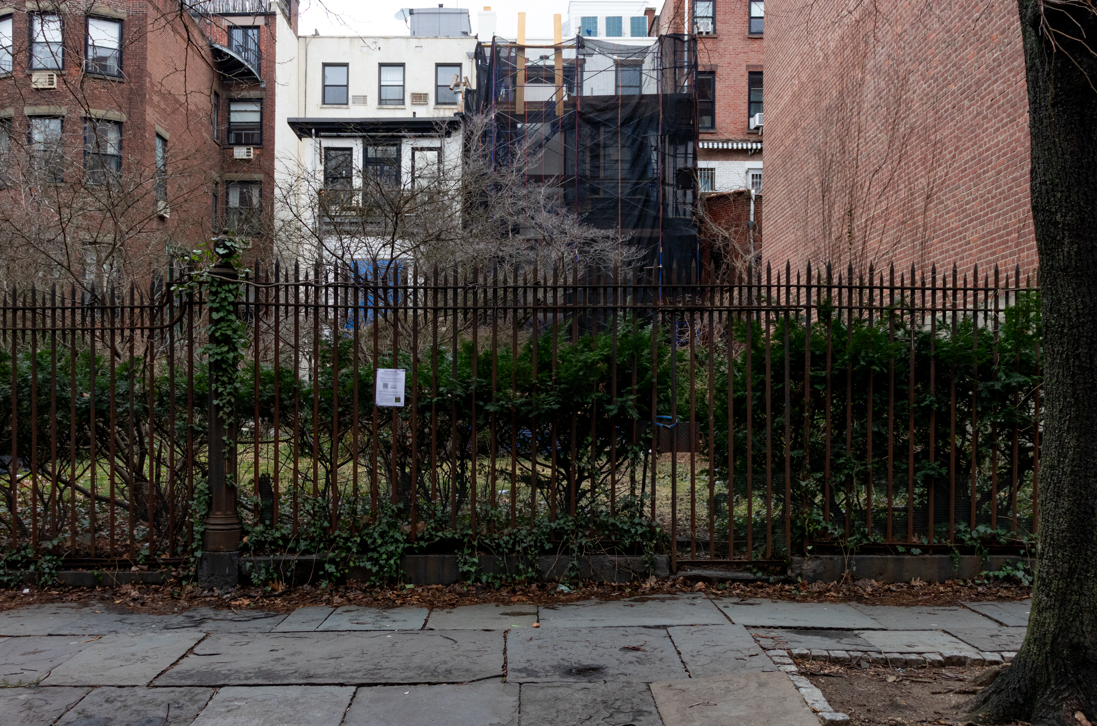 brooklyn heights garden - view of fence with lot behind