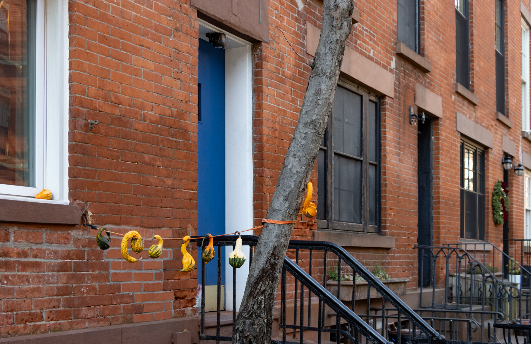 brooklyn - string of gourds near a brooklyn heights stoop