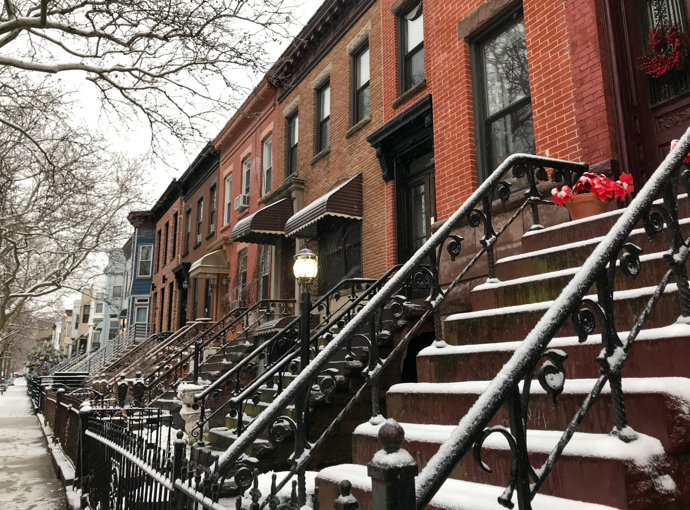 brooklyn-snowy stoops and brick row houses in ocean hill