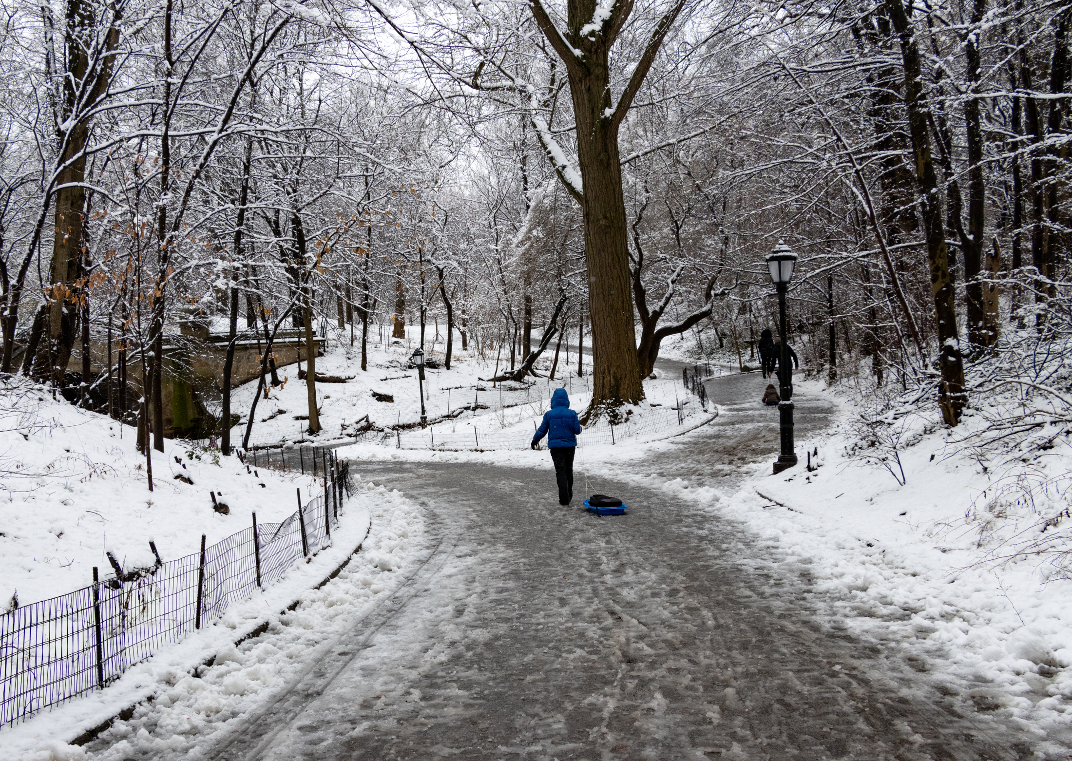 brooklyn - person pulling a blue sled in prospect park