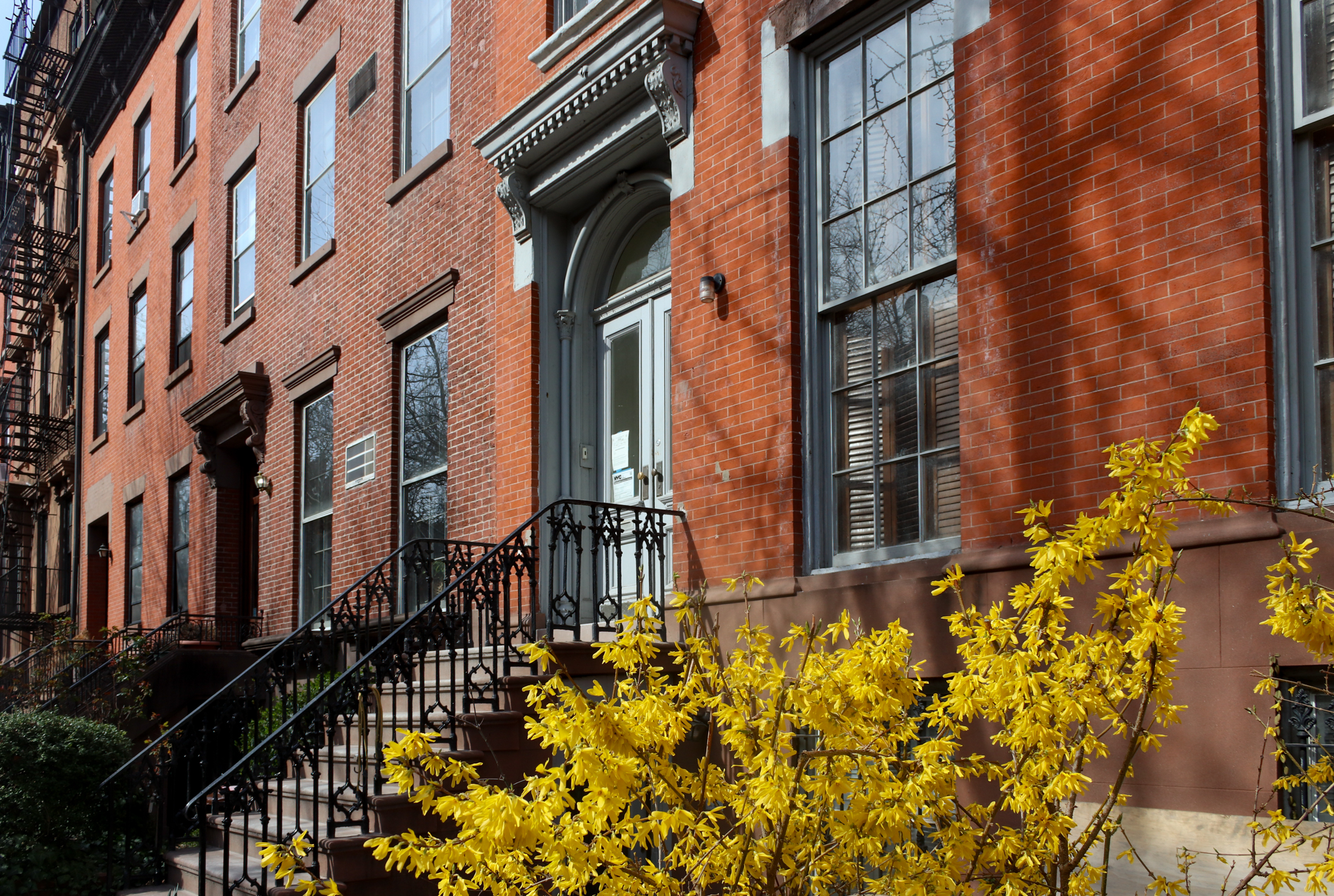 rowhouses in brooklyn -- apartment building insurance 