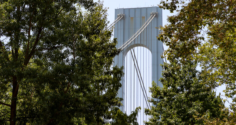 bay-ridge-brooklyn-neighborhood-page-brownstoner-2023-sdevries-1-1