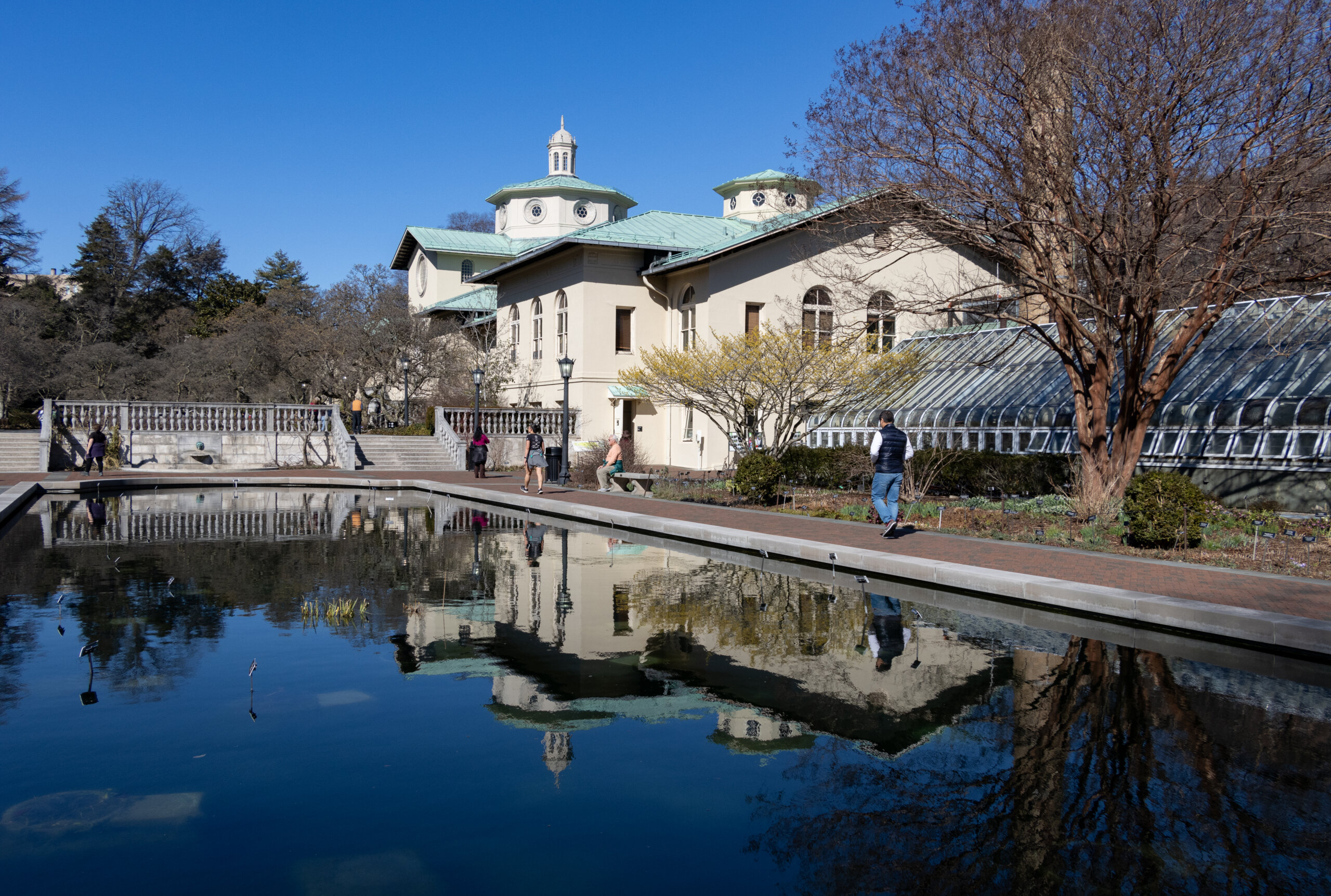 brooklyn - pond at Brooklyn Botanic Garden