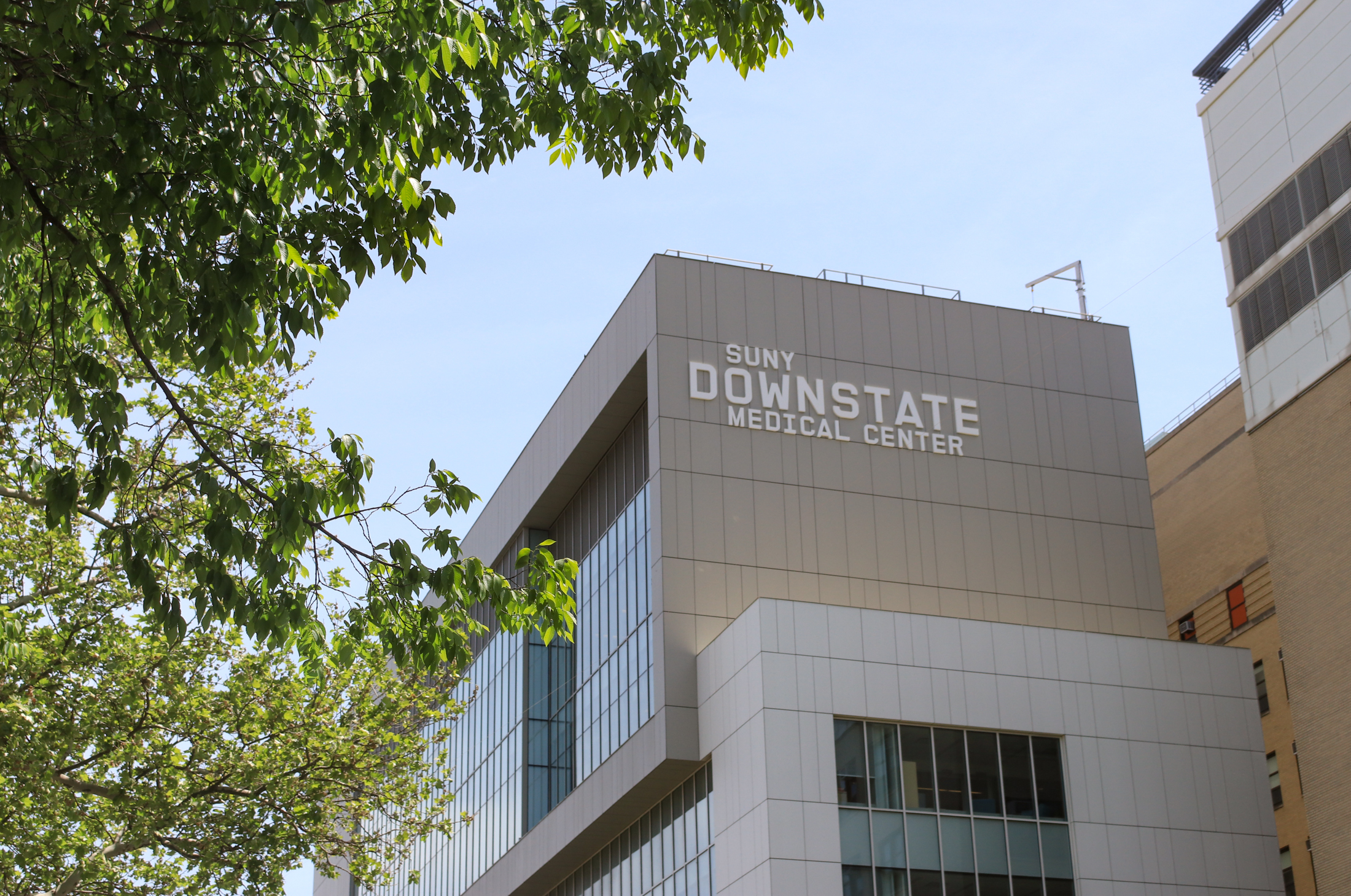 building with suny downstate sign