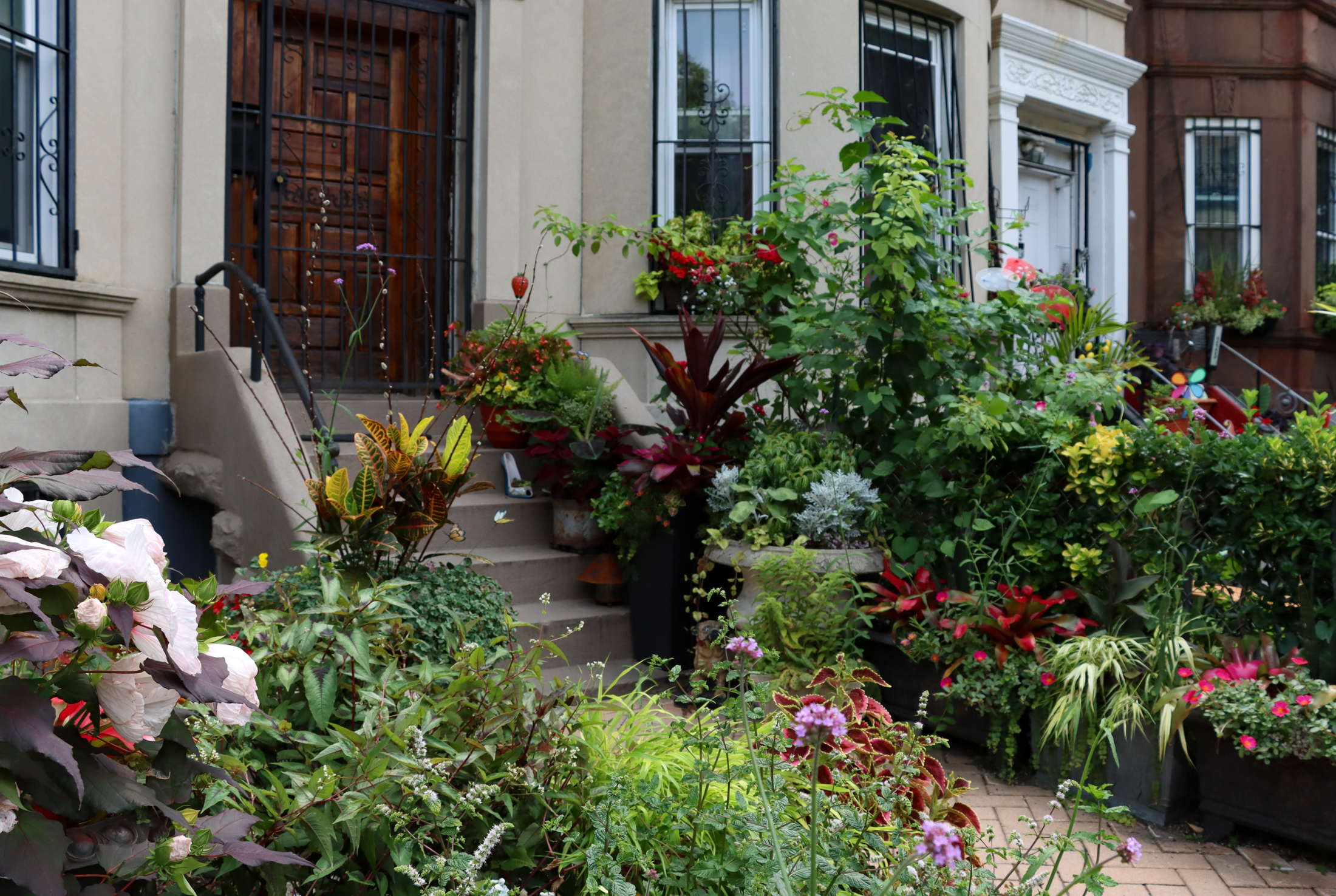 greenest block - front garden overflowing with flowers