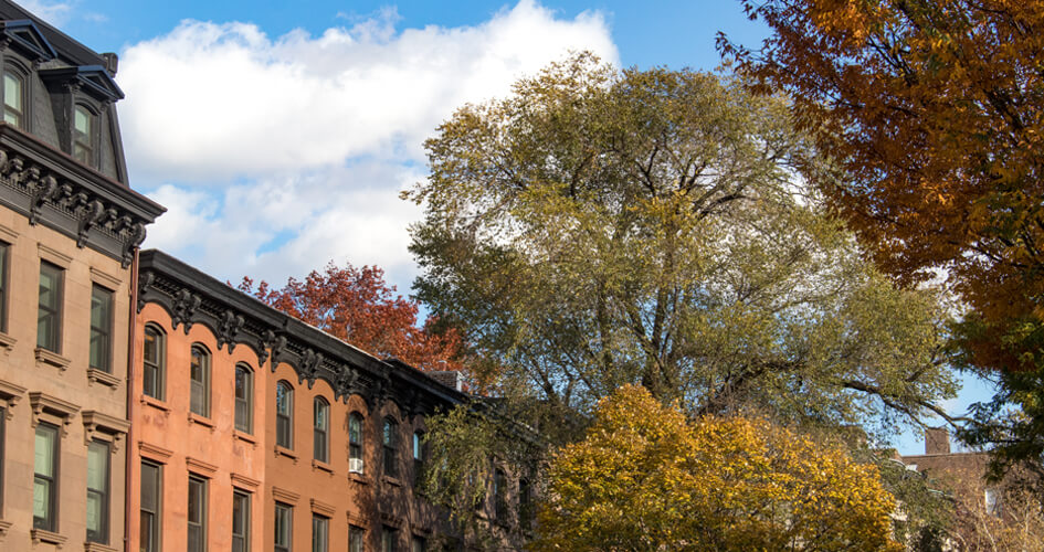 prospect-heights-brooklyn-neighborhood-page-brownstoner-2021-sdevries-1