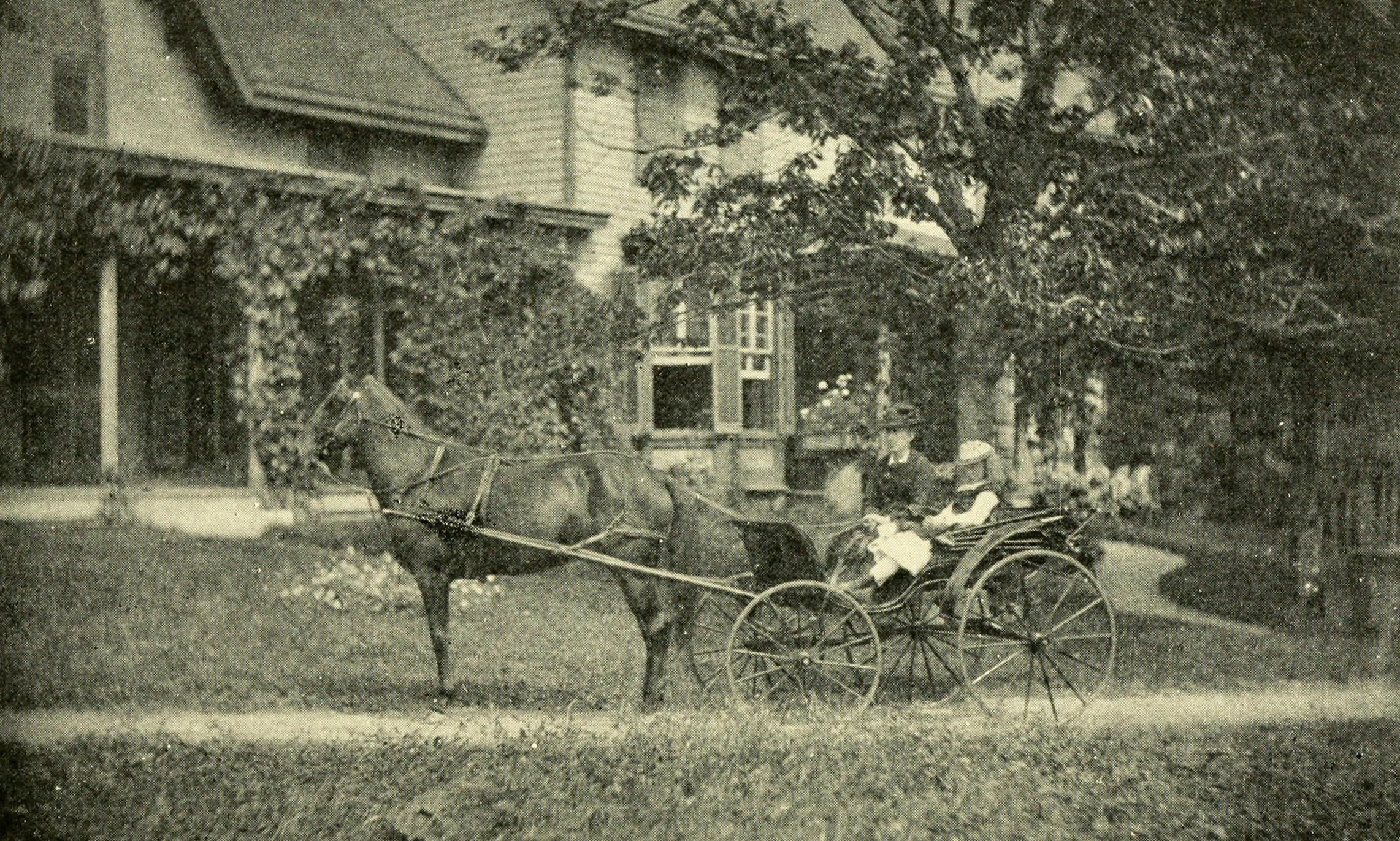 a horse and buggy in front of a wood frame house
