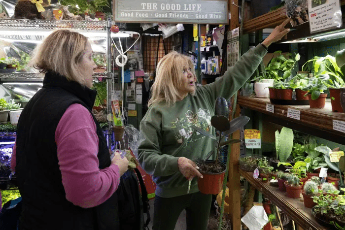 people looking at plants