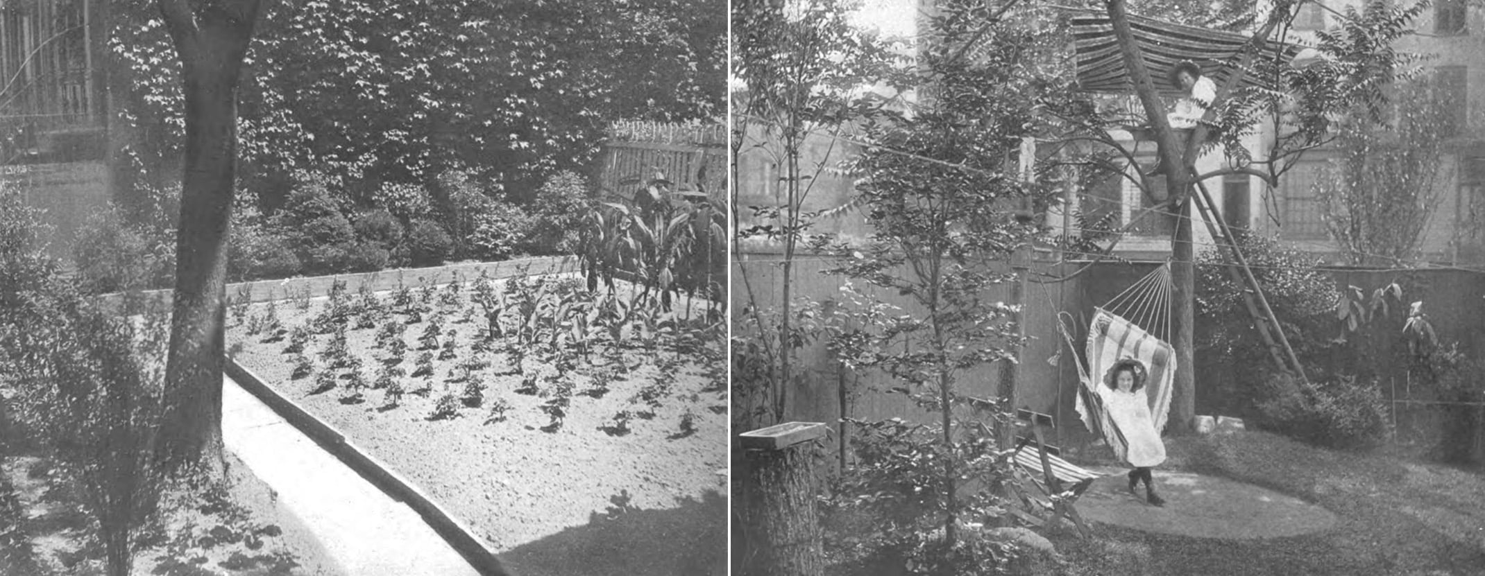 black and white photos showing a rear yard with sparse plantings and one with a landscaped yard
