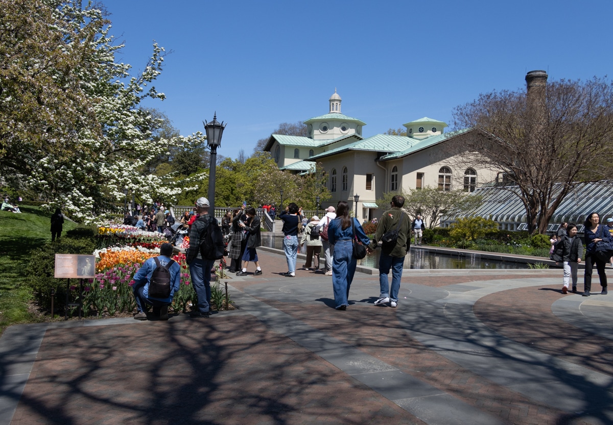 people walking near the lily pool