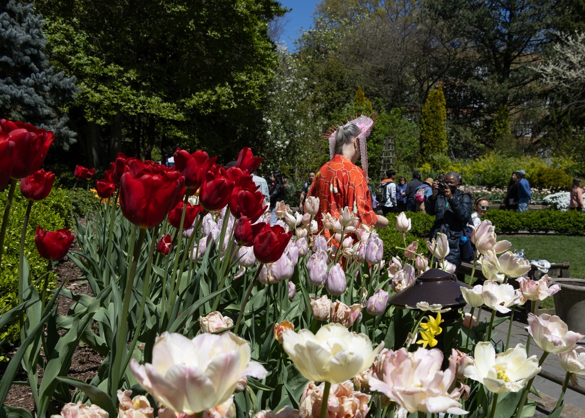 woman posing near tulips