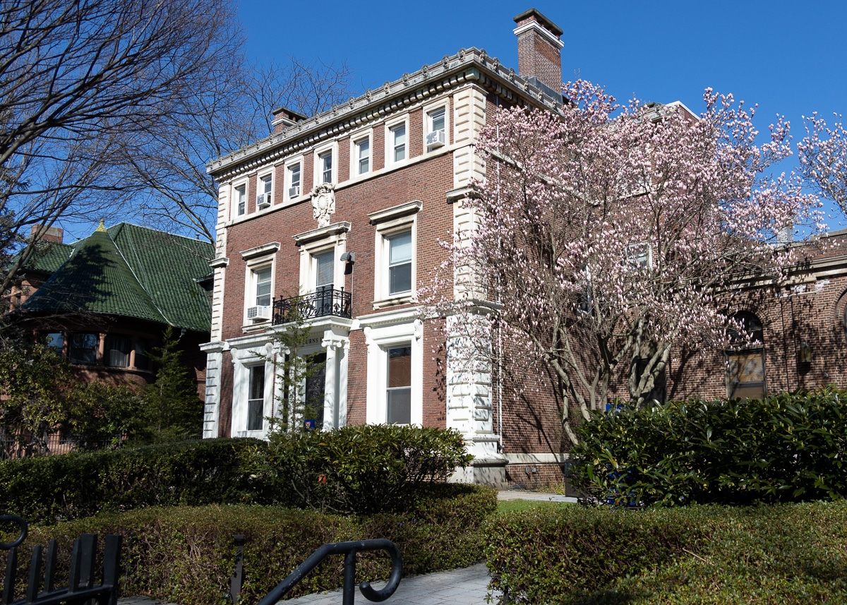 brooklyn - spring tree blooming on clinton avenue in clinton hill