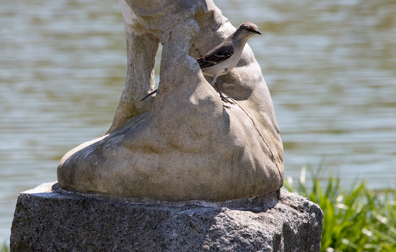 green-wood cemetery - a bird perched on a sculpture near the water