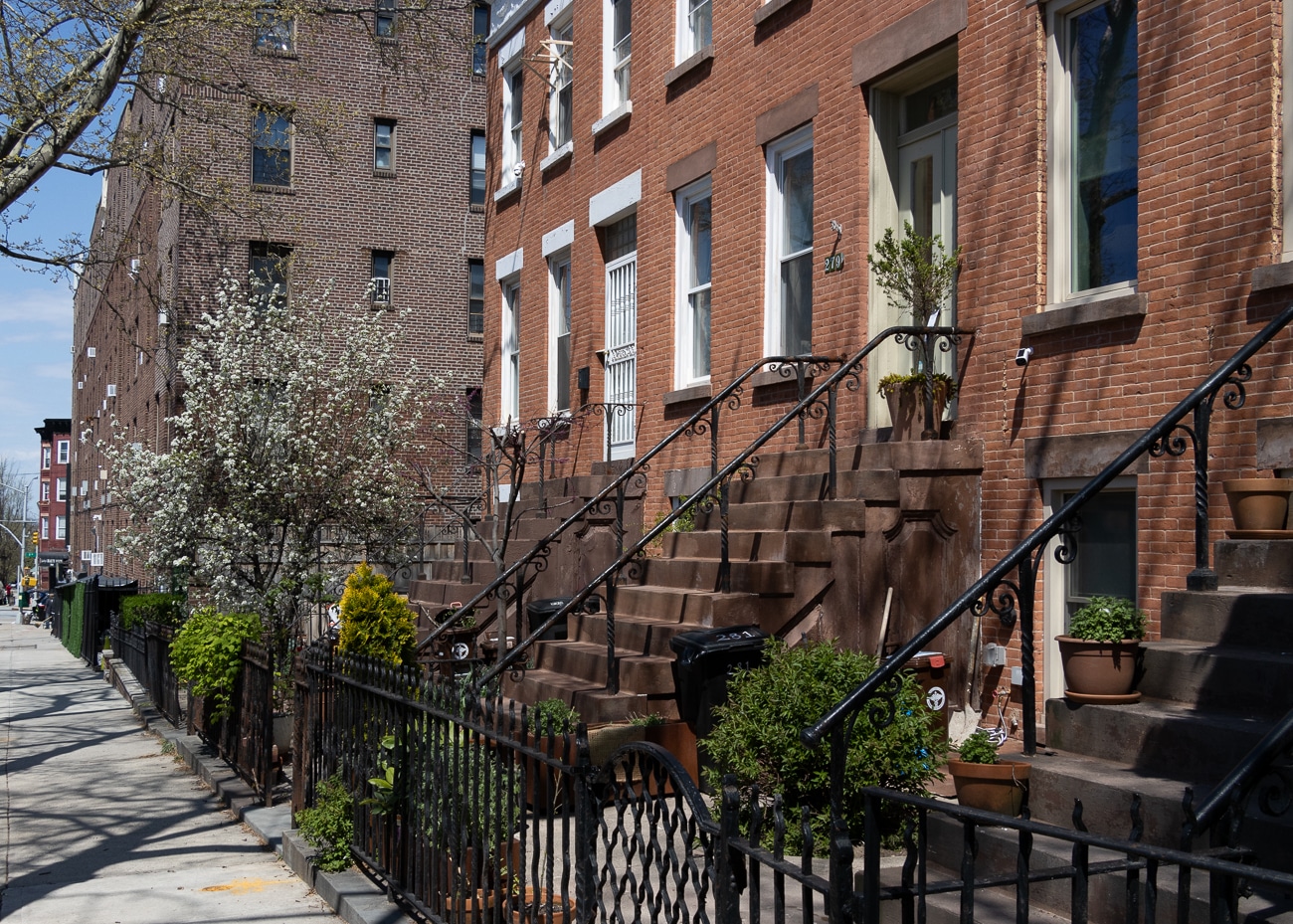 brooklyn - brick row houses with a blooming spring tree