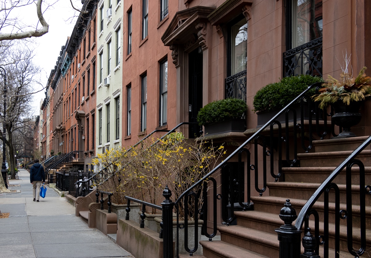 street of row houses with some window boxes and forsythia getting ready to bloom