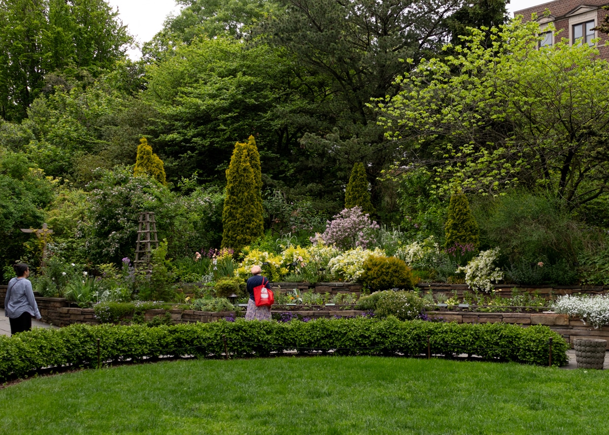 brooklyn - people looking at blooming flowers in the botanic garden