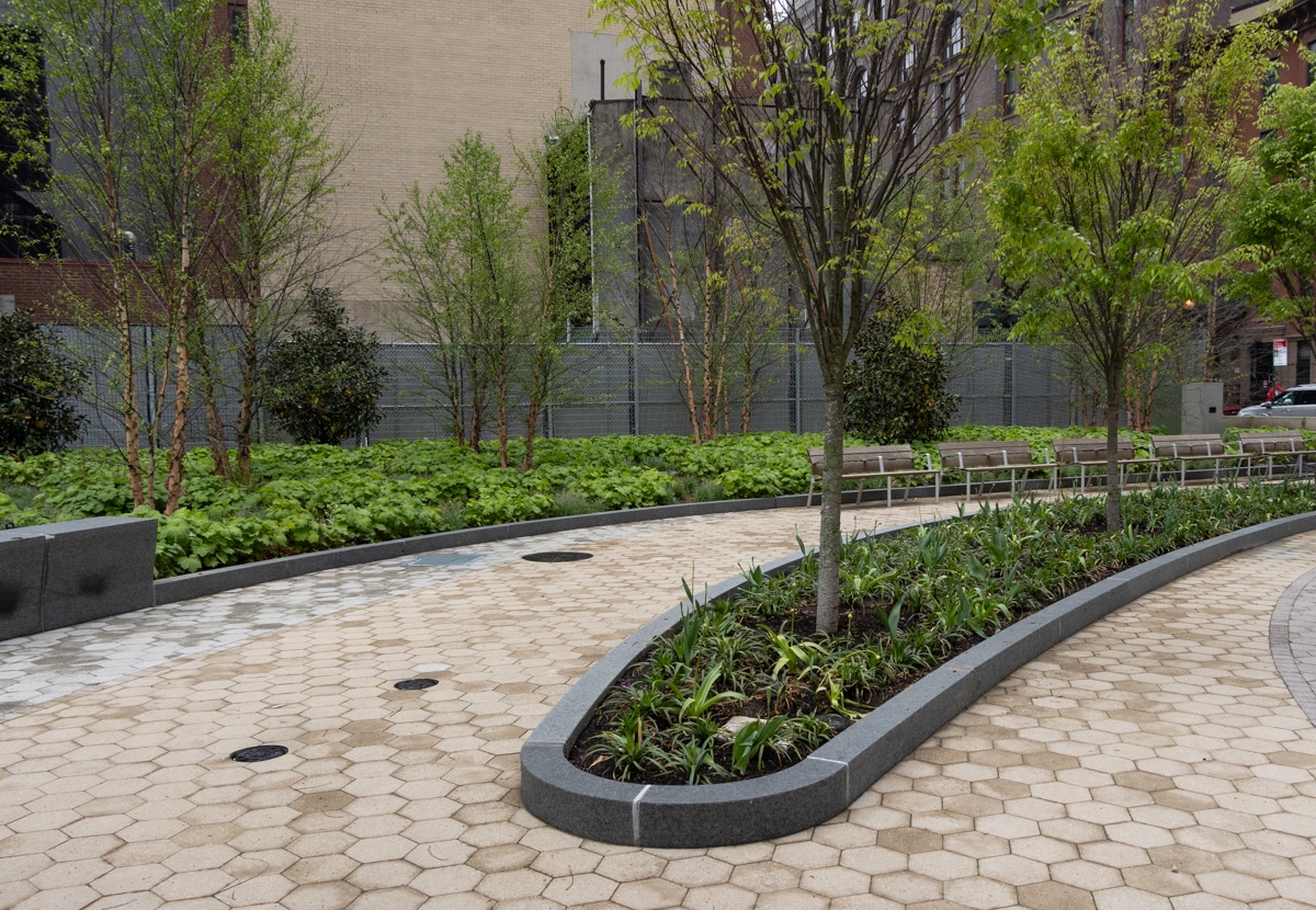 plants and trees looking toward duffield street