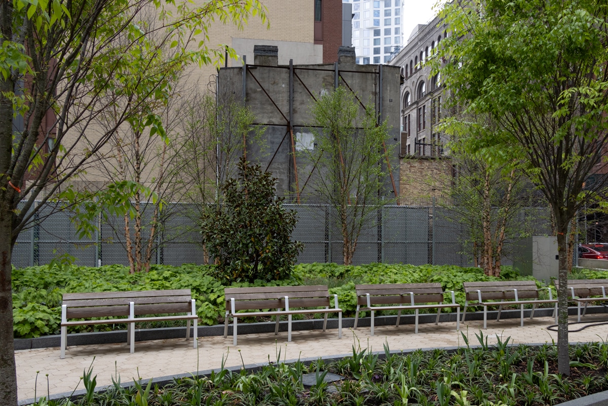 benches with 227 duffield in the background