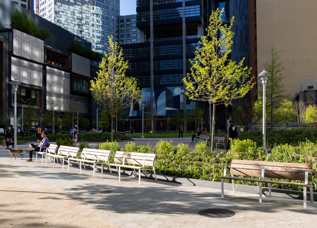 people on benches