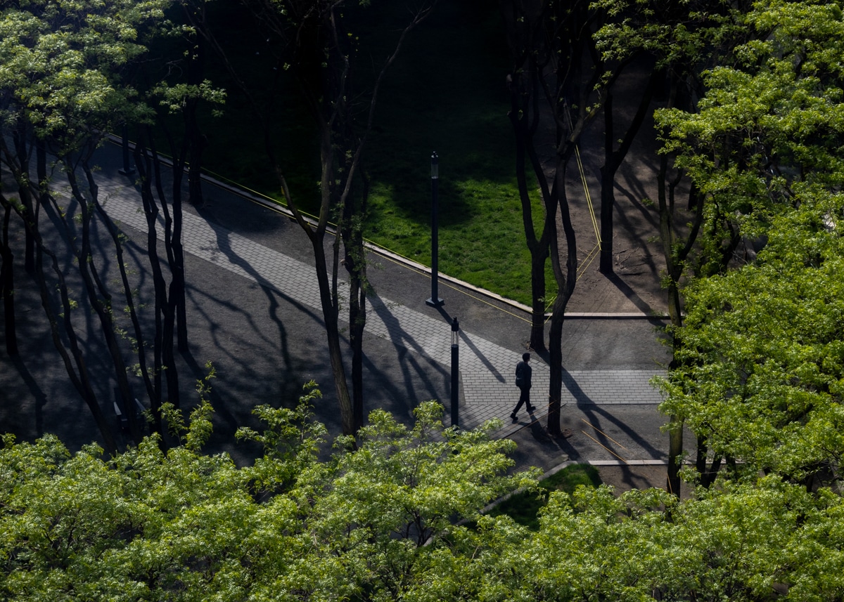 brookyn - view from above of sidewalks and trees in Brooklyn Commons and person walking through the space