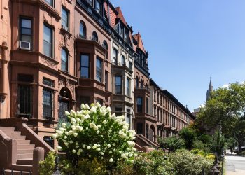 brooklyn - bed stuy row of houses