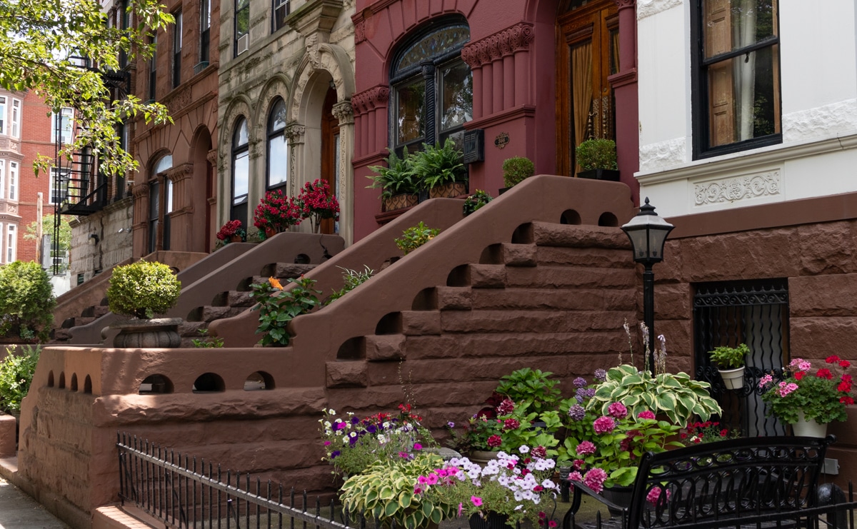 brooklyn - plants on the stoops of bed stuy houses