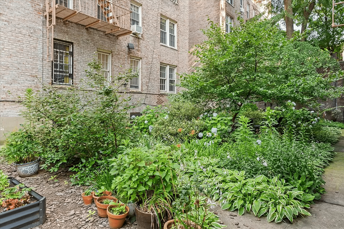 garden