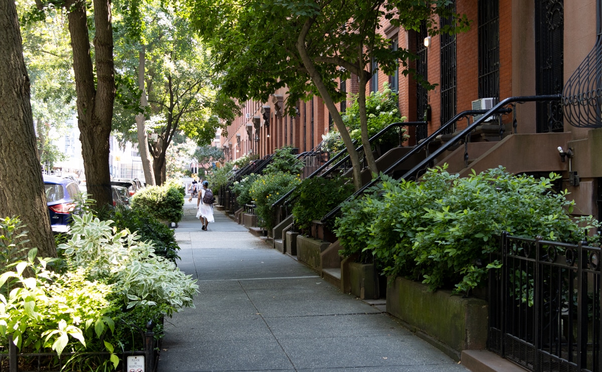 brooklyn -fort greene sidewalk with shrubs, trees and row houses