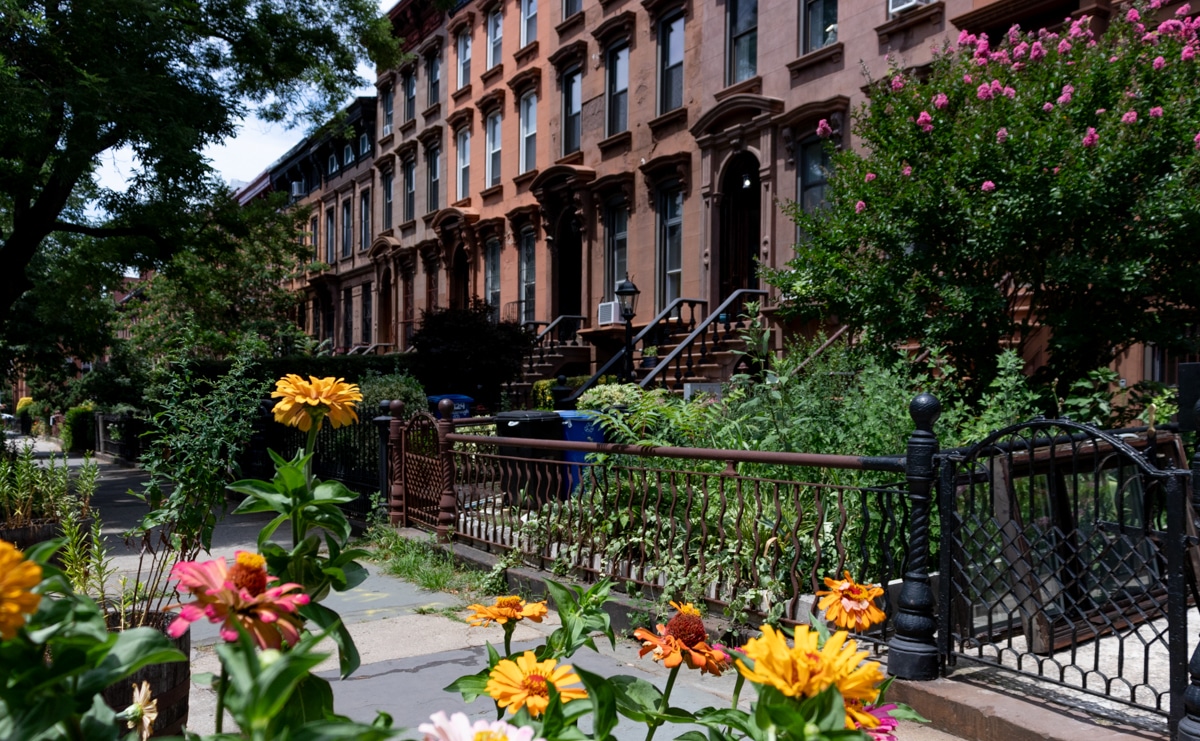 brooklyn - flowers blooming in front of a row of brownstones