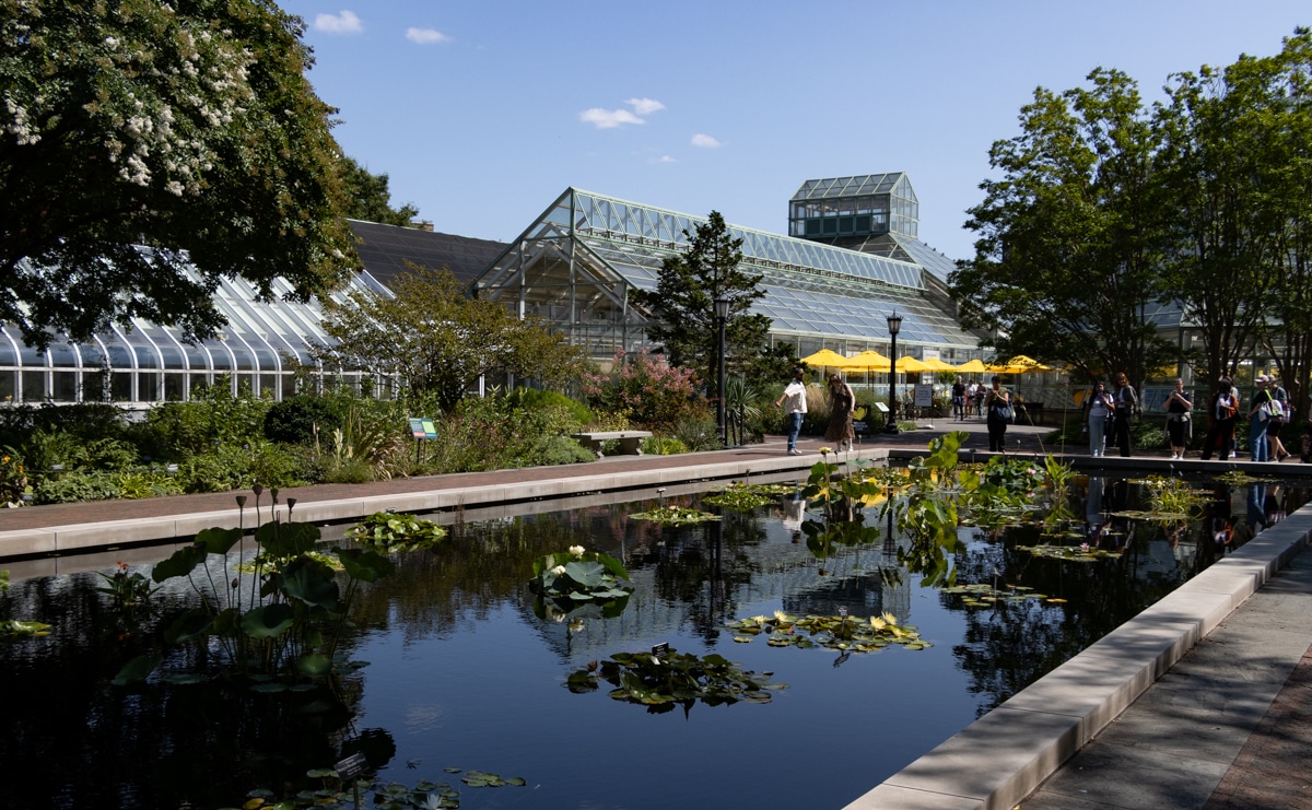 brooklyn botanic garden - the lily pond and conservatory at the garden