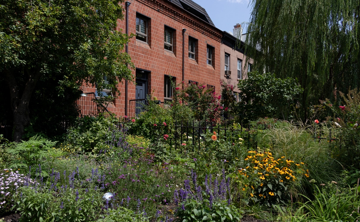 brooklyn - flowers blooming in front gardens in carroll gardens