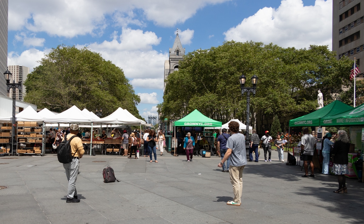 brooklyn - people at the greenmarket in columbus park in downtown brooklyn