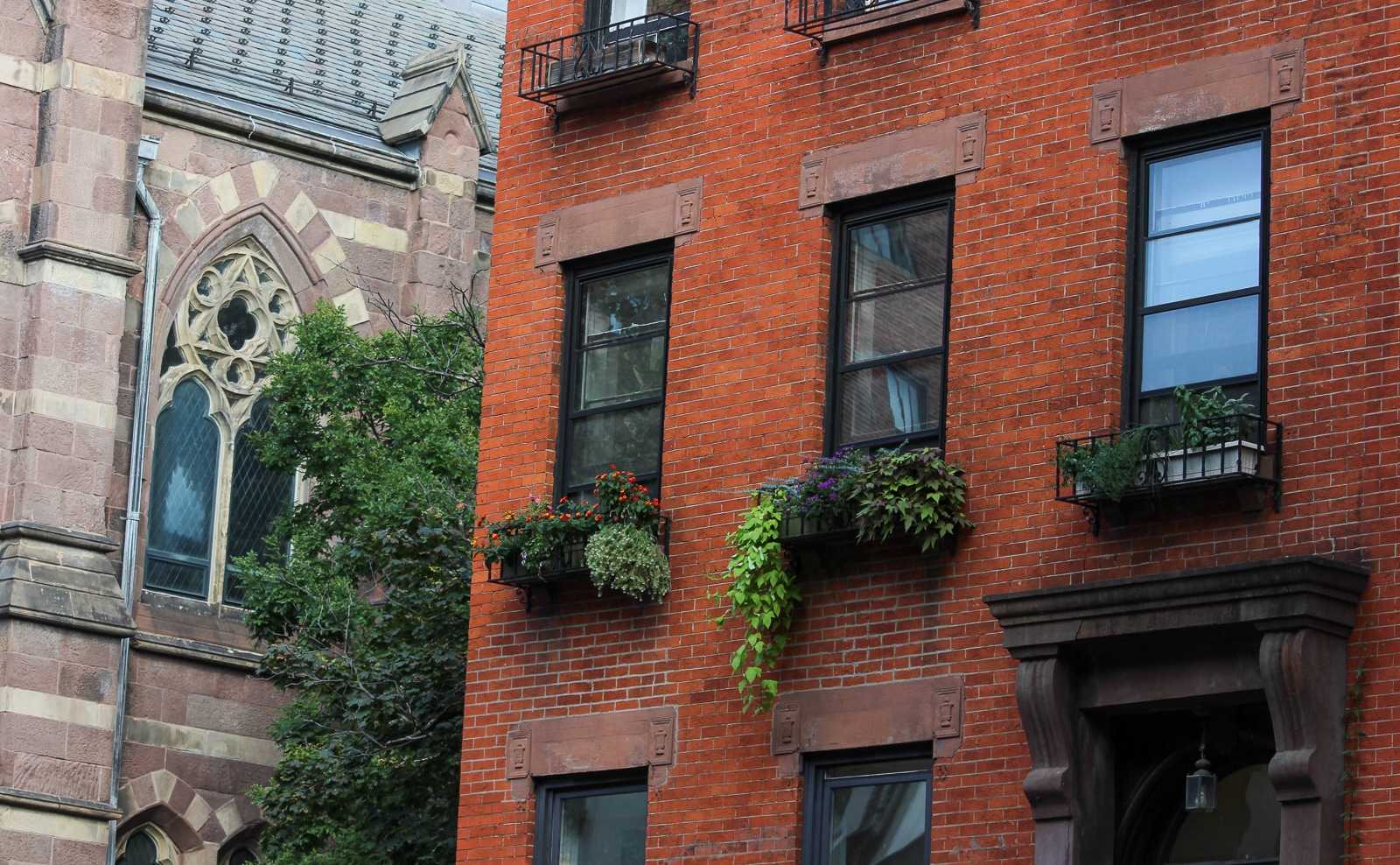 brooklyn - window boxes on a brooklyn heights house