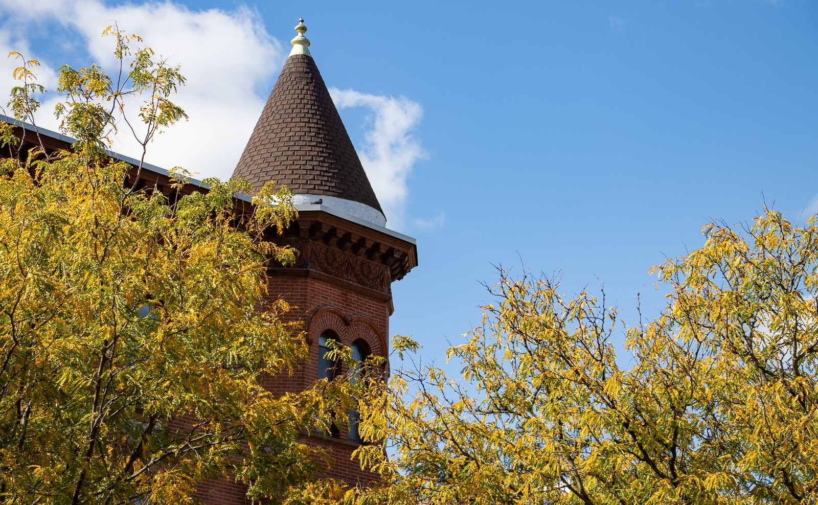 brooklyn - fall trees and a tower on a brick building in clinton hill