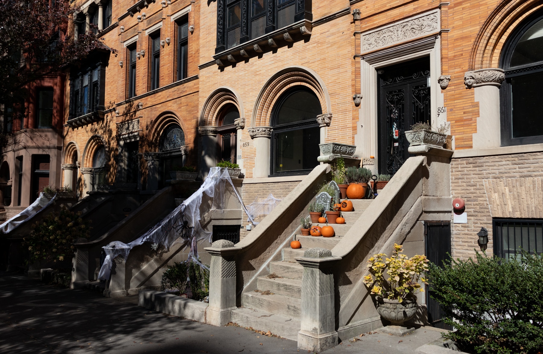 brooklyn - park slope stoops decorated for halloween with stoops, pumpkins and spiderwebs