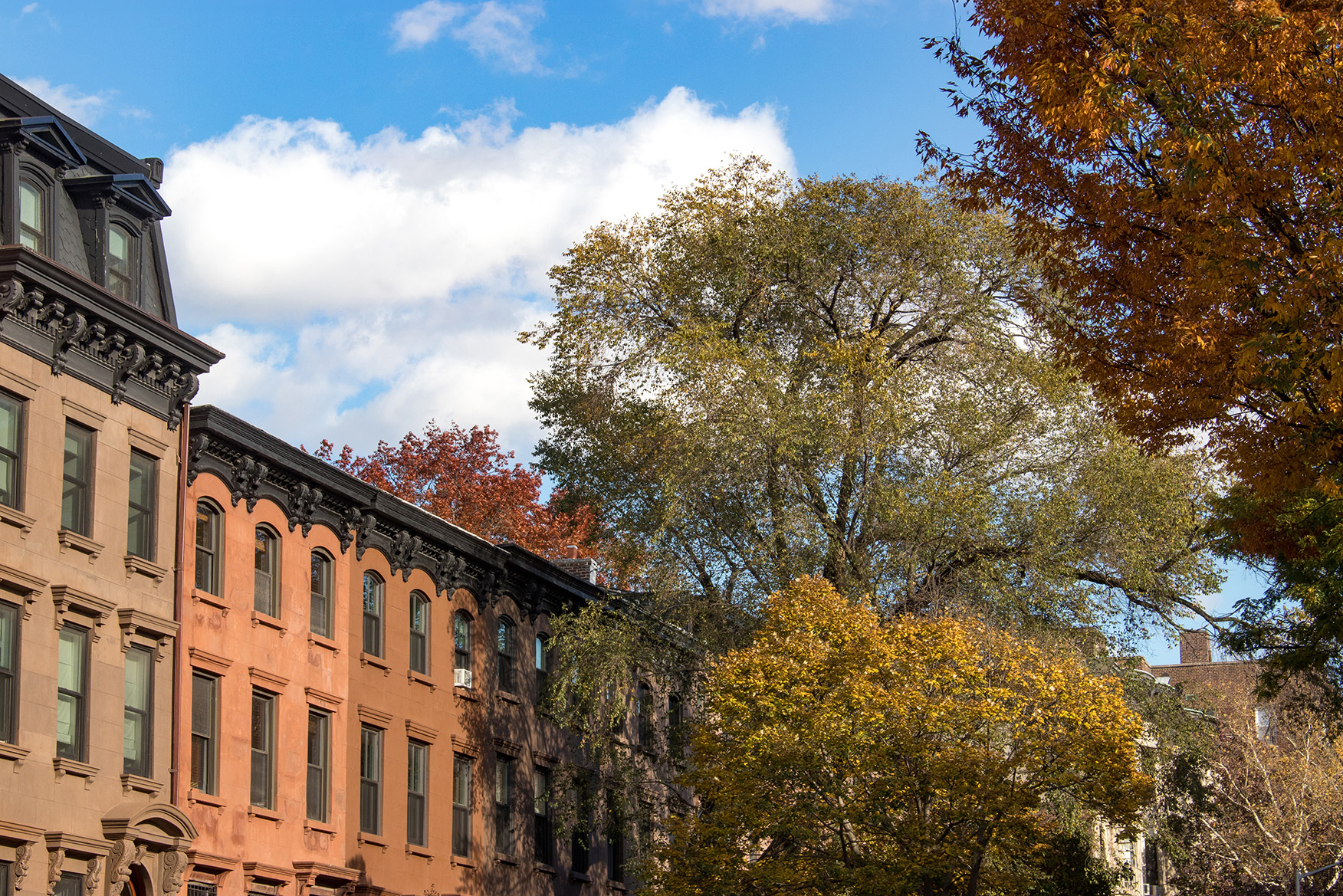 brownstoner - prospect heights fall view with row houses