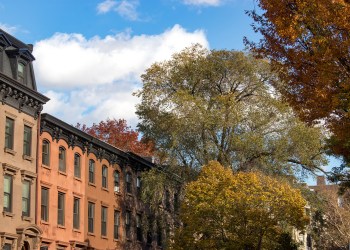 brownstoner - prospect heights fall view with row houses